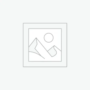 Elektroniczne rejestratory RCP